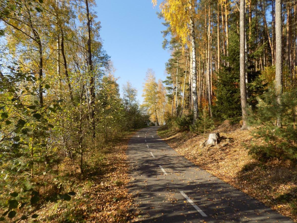 Vila Rozinka Lipno Lipno nad Vltavou Exterior foto